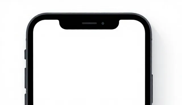 如何选择适合企业发展的移动APP开发方案?