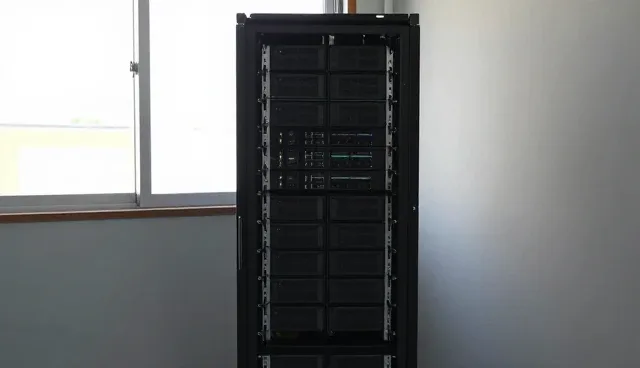 APP在数字化转型中的核心地位与应用趋势